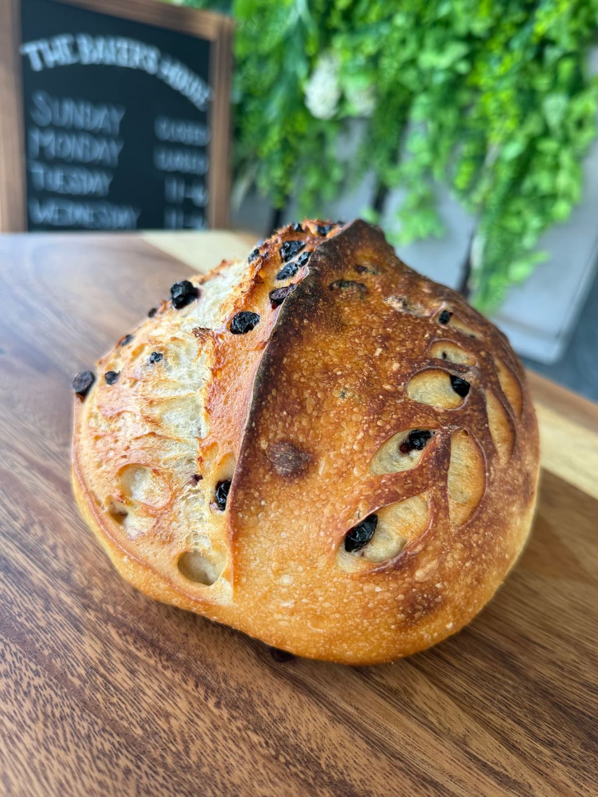 A golden sourdough loaf studded with dark berries, its crust scored in a leaf pattern, on a wooden board in front of the shop's chalkboard